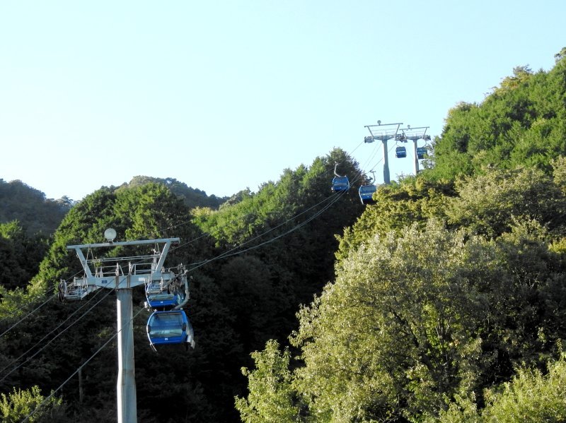 びわこ箱館山（４）（滋賀県高島市）: しゃし ブログ